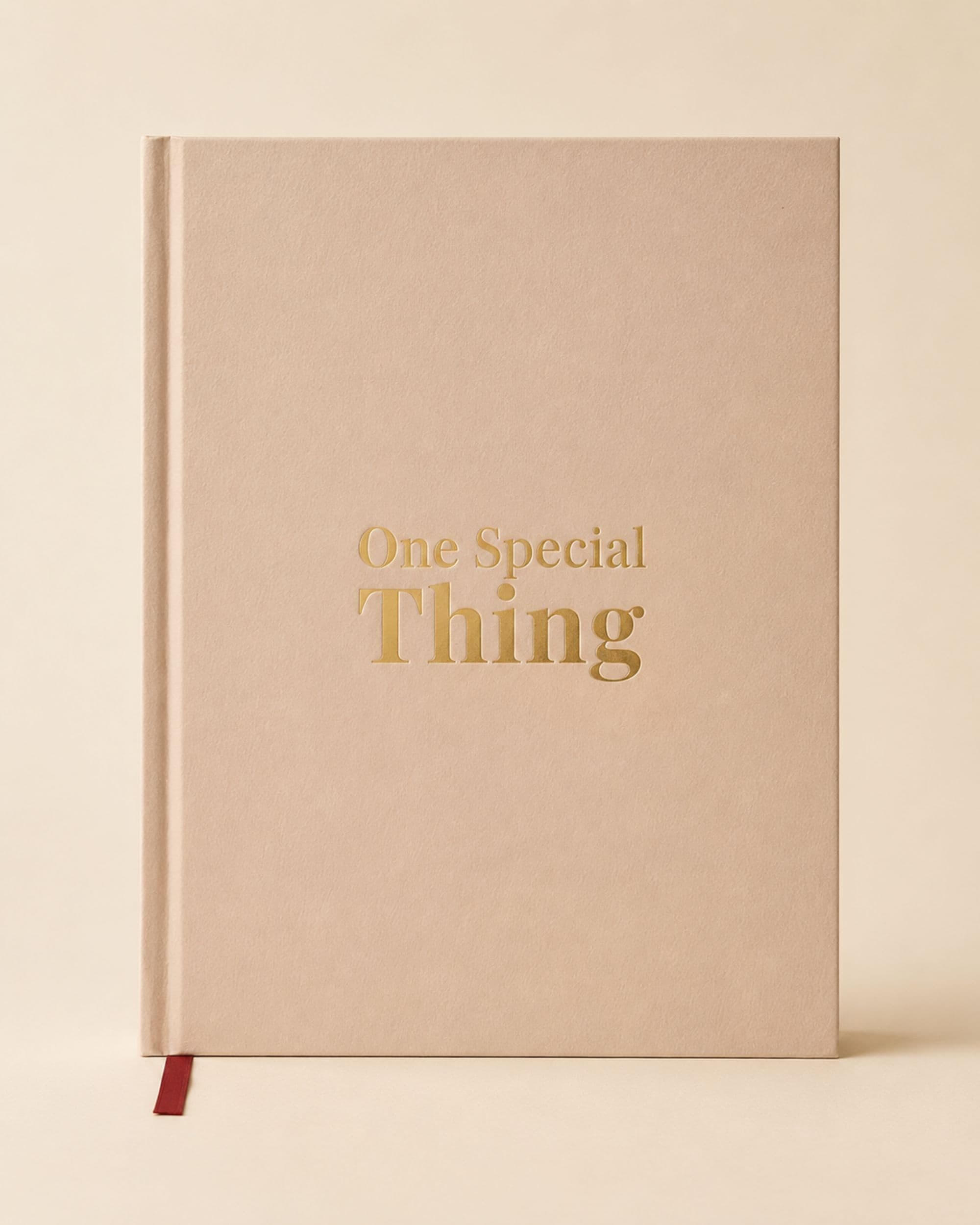 One Special Thing finished hardcover book, view 1